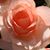 Nancy Watkins's profile image