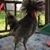Tracy Miller's profile image