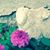 Kath Barry's profile image