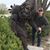 Henry Bopp's profile image