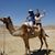 Lidy J Orellana's profile image