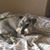 Vicky Palacio Tunnell's profile image