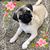 Cindy Troyer's profile image