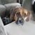 Becky Swehla Hendrich's profile image