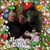 Linda Timblin's profile image