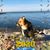 Dee Elizabeth Ellison's profile image
