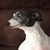Aaron Finner's profile image