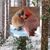 Kim Senseman's profile image
