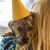 Dawn Royer's profile image