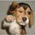 Mark-Sue Zeimet's profile image