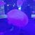 Kim Darnell's profile image