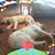 Leslie Smith's profile image