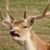 Laura Seay's profile image
