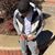 Tyrek Deshawn Sommerville's profile image