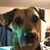 Mel Konechne's profile image
