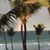 Robin Scheid's profile image