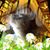 Mary Peterson's profile image