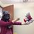 Alison Tepsic's profile image