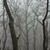 Susan Rossochacy Smarr's profile image