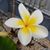 Vickie Willis's profile image