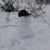 Janet Woodard Hobelman's profile image