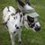 Mark Morell's profile image