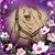 Clare Ellen's profile image