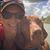 Tosha Bollier Alexander's profile image