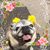 Steve Ferreira's profile image