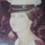 Donna Amedeo's profile image