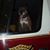 Tracey Birnbaum Timchak's profile image