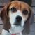 Eileen Runyan's profile image