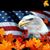 John Patrick Nichols's profile image