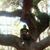 Latroy Ludgood's profile image