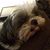 Melinda Richardson's profile image