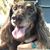 Carolyn Howard Roberts's profile image