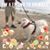 Cheryl Reiman's profile image