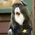 Peter Anthony Dashi Novaro's profile image