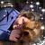 Dawn Credeur's profile image