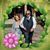 Debra Leitner's profile image