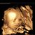 Steven M. Salter's profile image