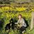 Martha McCardle's profile image