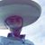Andrew Martinez's profile image
