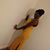 Tracy Young's profile image