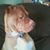 Lori Harkins's profile image
