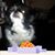 Rebecca Bidwell's profile image