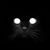 Cory Miller's profile image