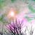 Mary Pat Holtschlag's profile image