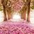 Sadia Malik's profile image