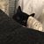Kelly Banigan's profile image